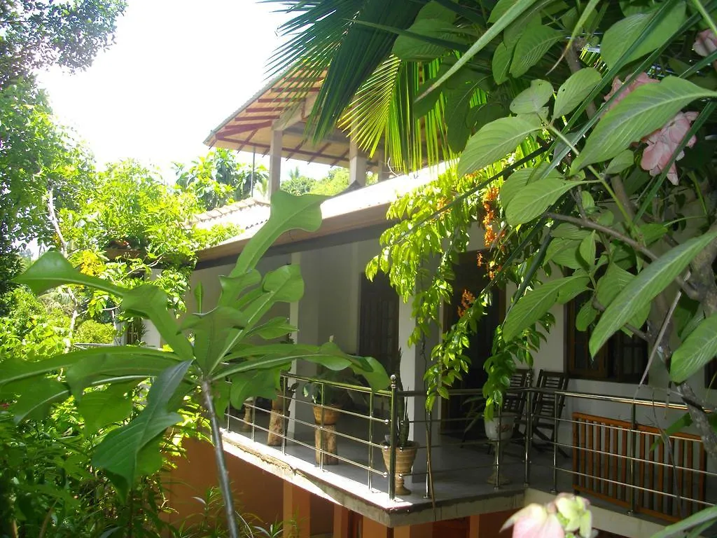 Birds Hill Homestay Kandy Sri Lanka