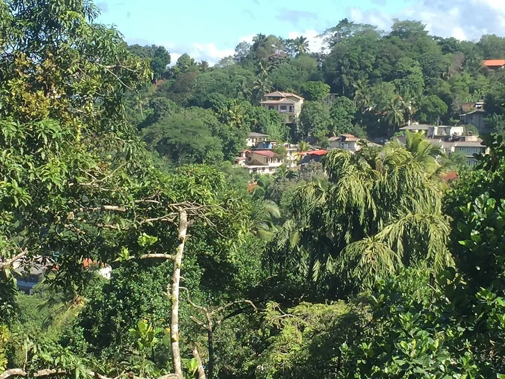 Birds Hill Homestay Kandy Sri Lanka