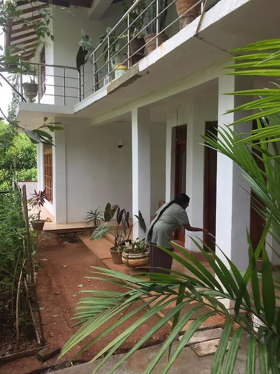 Birds Hill Homestay Kandy